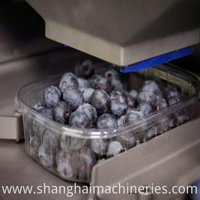 blueberry sorting machine
